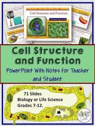 Levels Of Biological Organization From Smallest To Largest Ppt Cell Organelles Powerpoint And Notes Printable And Digital Distance Learning Cell Structure Cell Organelles Structure And Function