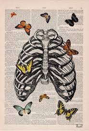 Christmas Gift Butterfly Collage Upcycled Dictionary Page Upcycled Book Art Print Book Print Butterflies In Rib Cage Ska068 Book Art Art Collage Wall Print Collage