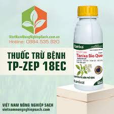 TP-Zep 18EC
