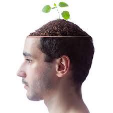 Kristian Kebbe Visual Art