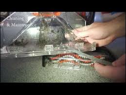 Bissell Proheat Pet Instructions Bissell Proheat 2x Revolution Pet Deep Cleaner Manual How To Use Clean And Maintain Youtube Deep Cleaning Bissell Cleaning
