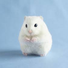 ボード felting lushness のピン