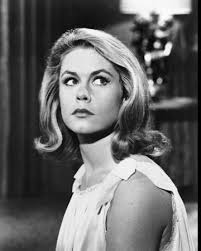 Bewitched" I, Darrin, Take This Witch, Samantha (TV Episode 1964)