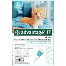Pin On Flea And Tick Control