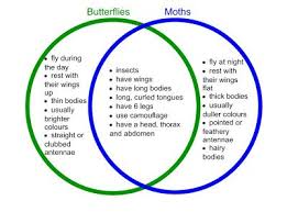 Venn Diagram For Compare Contrast Analysis Moth Vs