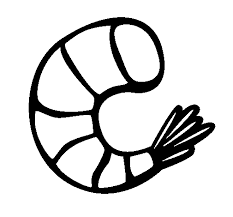 Coloring page water > shrimp. Prawn Coloring Page Coloringcrew Com