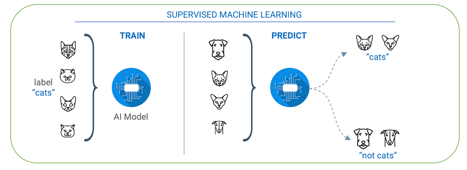 Image result for supervised learning example"