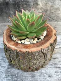 Cultiver l'originalité et stimuler l'imagination pour créer une décoration hors du commun et un univers. Succulent In A Natural Wood Planter By Succsforallseasons On Etsy Jardineria En Macetas Macetas De Madera Jardineria Y Plantas