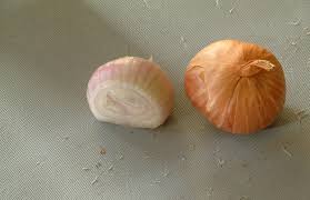 Add your comment in english. Shallot Wikipedia