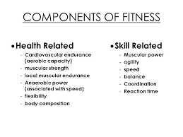 Health and fitness activity for grade xii vibha choudhary. Fitness Definition Of Fitness Components Of Fitness Health Related Cardiovascular Endurance Aerobic Capacity Muscular Strength Local Muscular Ppt Download