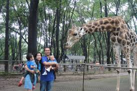 Watch binatang langka online for free on pakistan videos where you can search and watch thousands of daftar binatang langka di indonesia semakin panjang. Top Gambar Kartun Suasana Kebun Binatang Kolek Gambar