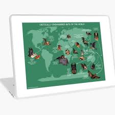World Map Laptop Skins Redbubble Hey irgendwie sind bei meinem pc fast alle hintergrundbilder die ich aus dem internet habe unscharf. redbubble