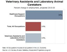 A good job description attracts the most qualified candidates. Salary And Career Options For Veterinary Assistants