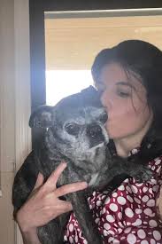 Our baby Rip in pajamas🥹Merry Christmas y'all 🎄(his little FUPA kills  me😂)