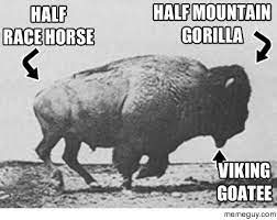 I Never Realized How Terrifyingly Badass The Buffalo Is Meme Guy