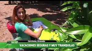18730 carchuna, playa de carchuna s/n. Camping Don Cactus Motril Spain Alan Rogers