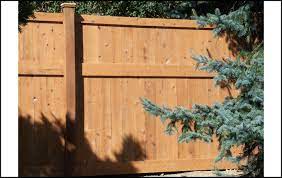 Rest assured that an ameristar fence will provide you years of maintenance free enjoyment and peace of mind. America S Backyard Fence Backyard Fences Backyard Backyard Accessories