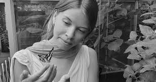 Fiske etter makrell med lys