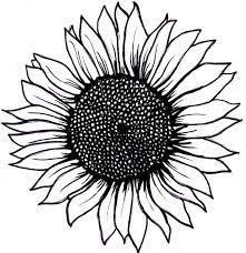 Sunflower By 16shokushu On Deviantart Sunflower Drawing Sunflower Tattoo Small Sunflower Tattoo Simple