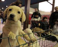 Sortir ce week end à chasseneuil du poitou dans la vienne. Charente Maritime Cinq Idees De Sorties Pour Ce Week End