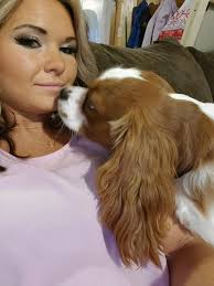 INTRODUCE YOUR DOG Name: Charles Nick names: Puppy Breed: Cavalier King  Charles Spaniel Age: 1 year 1 month Favorite food: What he can't have,  human food. He's our personal vacuum 🤣 Favorite