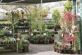 Great Local Home And Garden Store Organic Vegan Fertilizer Organic Pet Supplies Soy Candles Soaps Home And Garden Store Organic Pet Products Olive Street
