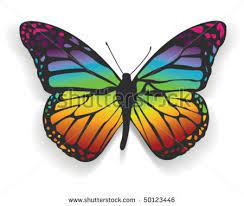 Rainbow Butterfly Stock Photos Images Pictures Rainbow Tattoos Butterfly Tattoo Rainbow Butterfly