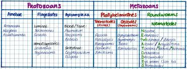Mynotes4usmle Mcat Study Study Notes Medical Laboratory Scientist