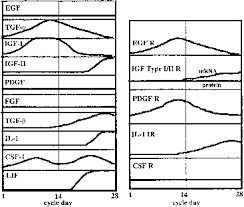 Steroid Endocrinology Of Pregnancy Glowm