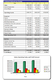 Thefinanceresource Com Free Vending Machine Company Business Plan Business Plan Example Profit And Loss Statement Free Business Plan