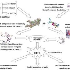 Horizon terminal services llc, 1341a pine street, freeport, texas 77541 telephone: Pdf A Molecular Modeling Approach To Identify Potential Antileishmanial Compounds Against The Cell Division Cycle Cdc 2 Related Kinase 12 Crk12 Receptor Of Leishmania Donovani