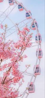 Lockscreens Cherry Blossom Lock Screens Backgrounds Person standing in front of house with sakura tree outside wallpaper, pink leaf tree beside gray and brown building. cherry blossom lock screens