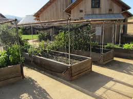 More Ideas For Raised Vegetable Garden Beds Protect From Hungry Pests By Enclosing With S Vegetable Garden Planning Fenced Vegetable Garden Small Garden Fence