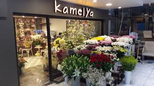 Kamelya Çiçekçisi