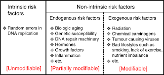 Generally, carcinoma arises from cells originating in the endodermal or ectodermal germ layer during embryogenesis. Evaluating Intrinsic And Non Intrinsic Cancer Risk Factors Nature Communications