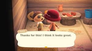 Gave Coco An Acorn Hat Today Was Not Disappointed Animalcrossing Animal Crossing Funny Animal Crossing Game Animal Crossing Memes