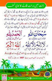 Be A Real Muslim Follow The Holy Qur An And Hadith Posts Facebook