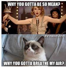 Grumpy Cat Sings Mean By Taylor Swift Funny Grumpy Cat Memes Grumpy Cat Quotes Cat Jokes