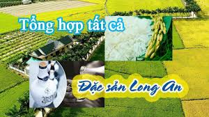 It is important to understand this sound and pronounce it correctly. Tá»•ng Há»£p Ä'áº·c Sáº£n Long An Táº¥t Cáº£ 12 Ä'áº·c Sáº£n Cá»§a Long An Vietflavour