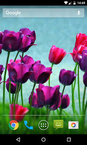 You can explore in this category and download free flower background photos. Android Flower Wallpaper Hd Wallpaperandro