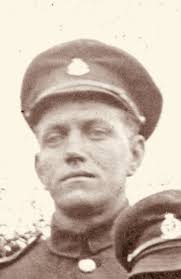 Search for "Sanderson" in lastname