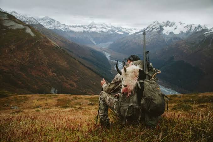 Alaska Mountain Goat Hunting Trips » Premier Outfitters