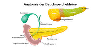 Umgang Mit Selbsthilfe Pankreaskarzinom