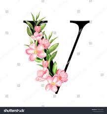 The valomilk treat is prepare 384 Letter V Made Of Flowers Images Stock Photos Vectors Shutterstock