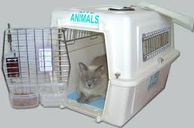 A wide variety of cat travel crate options are available to you, such as material, feature, and closure type. Acclimating Your Pet Cat Or Dog To Airline Crate Dryfur