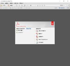 Adobe Acrobat XI Pro 2018 V11.0.23 中文破解版-阳子湖软件园