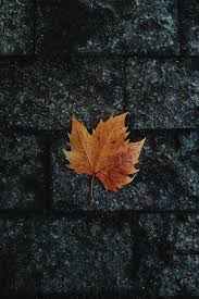 Check spelling or type a new query. Fallen Hd Wallpapers Free Download Wallpaperbetter