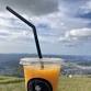 Mandarin Juice Sales Event at Washigamine Cosmos Park event image