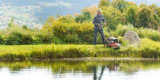 With four wheels on the ground you are free to concentrate on guiding the blade without any arduous lifting or exerting of downward pressure on the tool. Dr Power Equipment Home Facebook