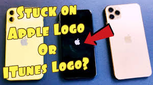 After that, choose your device from the list. Iphone 11 Stuck On Apple Logo Or Itunes Logo Fixed 1 Minute Fix Youtube